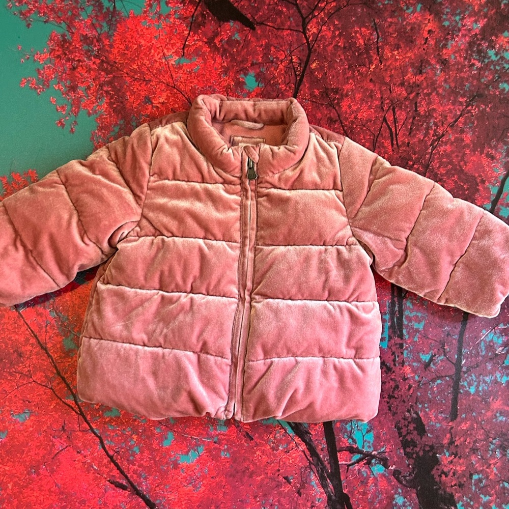 Infant Gap Puffer Jacket